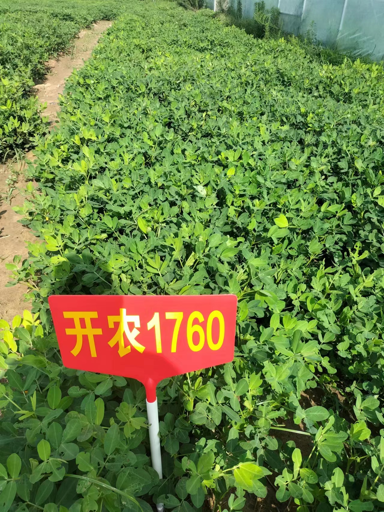 產(chǎn)品名稱(chēng)