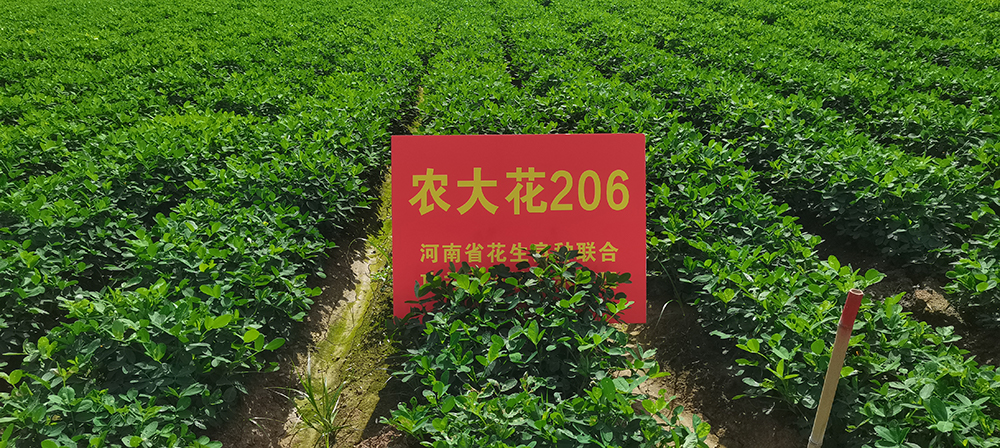 產(chǎn)品名稱(chēng)